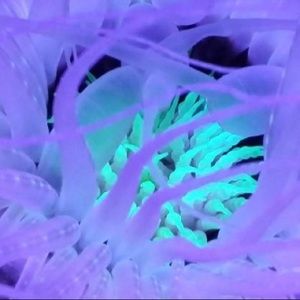 Meet your Posher, Robbie